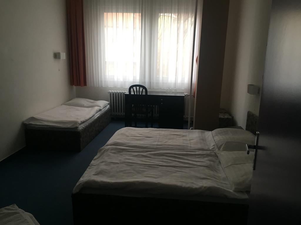 Hotel U Tri Lvu チェスケー・ブジェヨヴィツェ エクステリア 写真